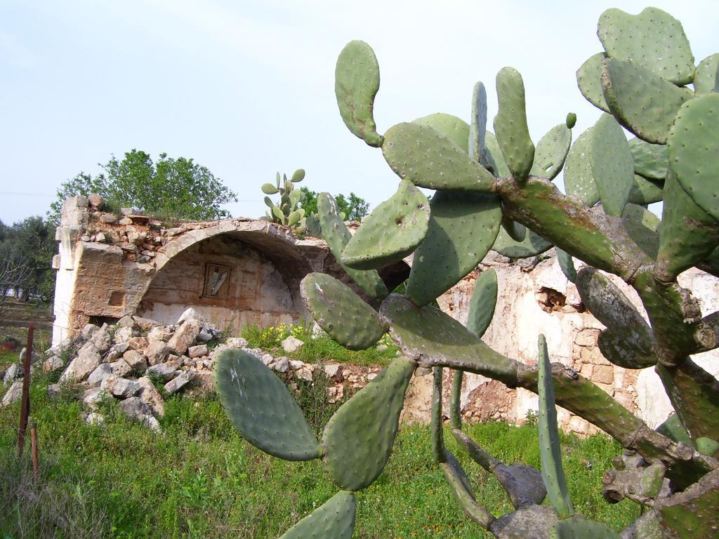Villa Ghetta Country House Leverano Buitenkant foto